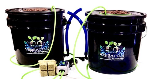 Dwc hydroponic system kit 5 - hydroponic,